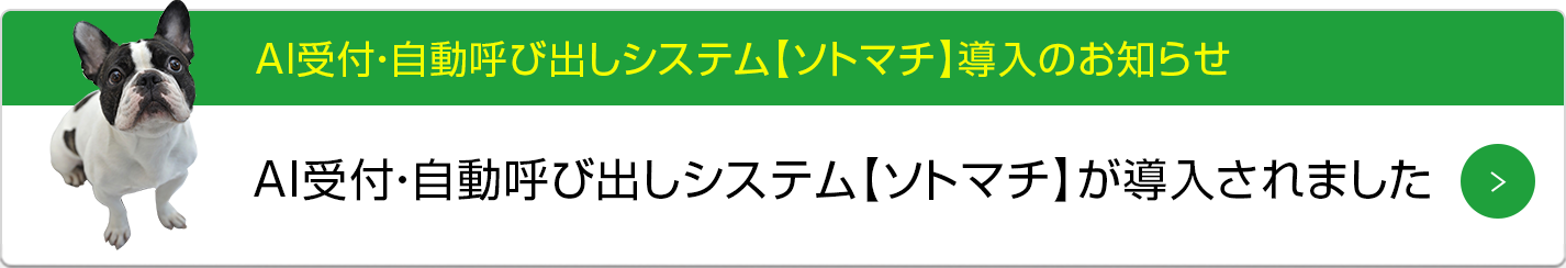 ソトマチ