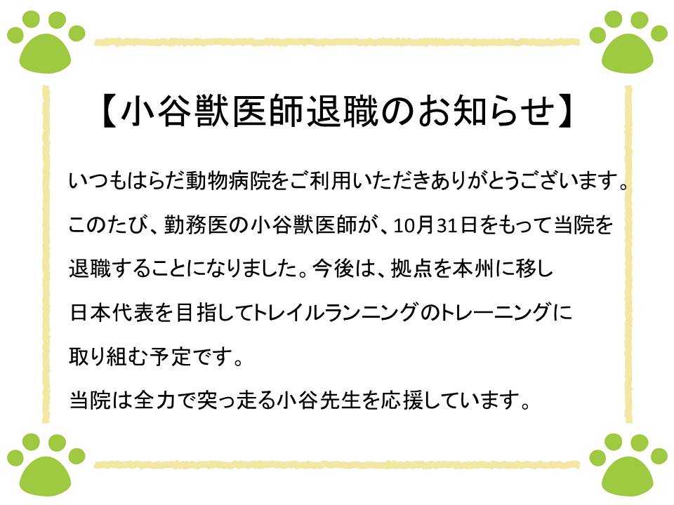 当院からのお知らせ